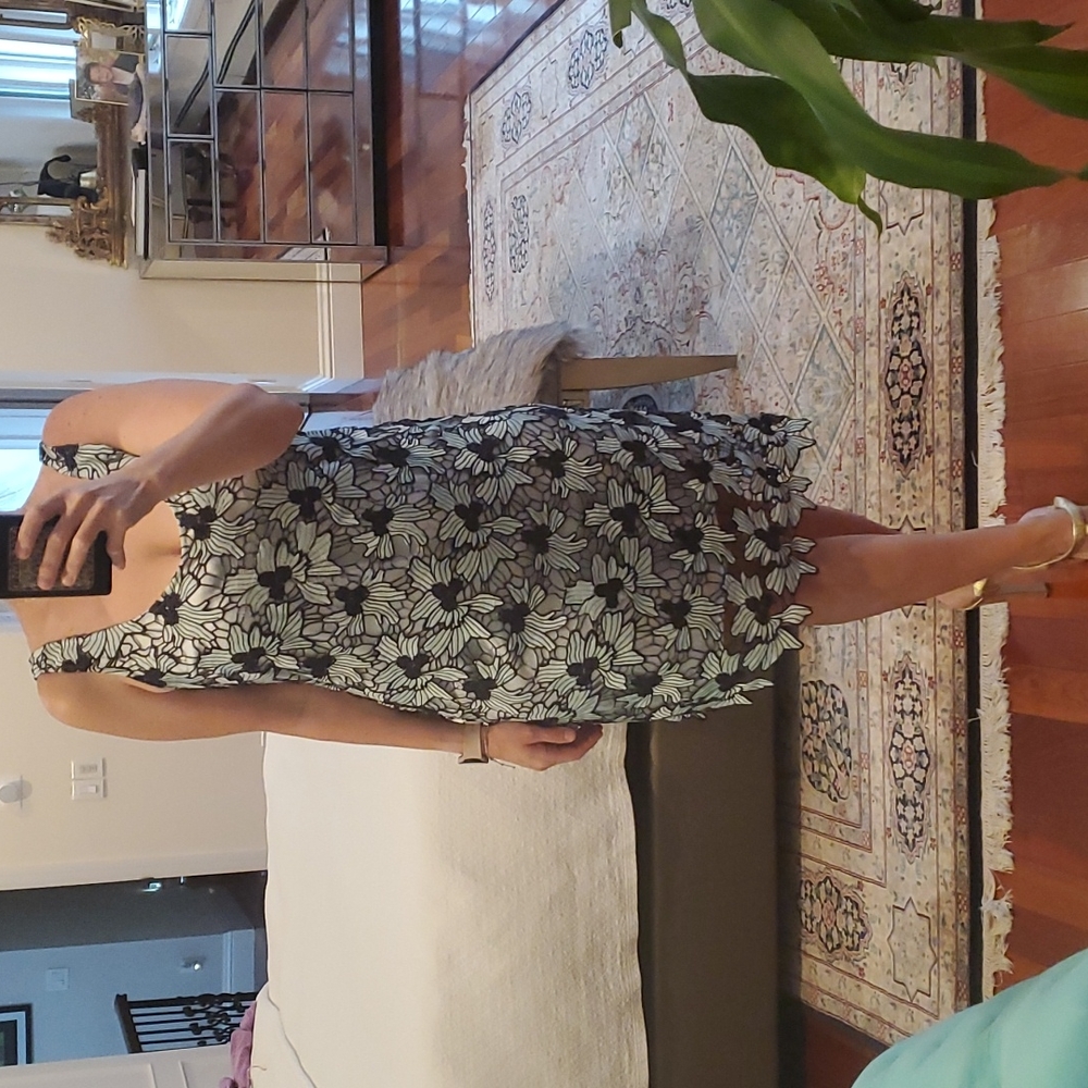 BB Dakoda sleeveless dress